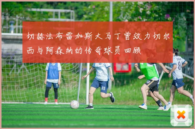 切赫法布雷加斯大马丁曾效力切尔西与阿森纳的传奇球员回顾